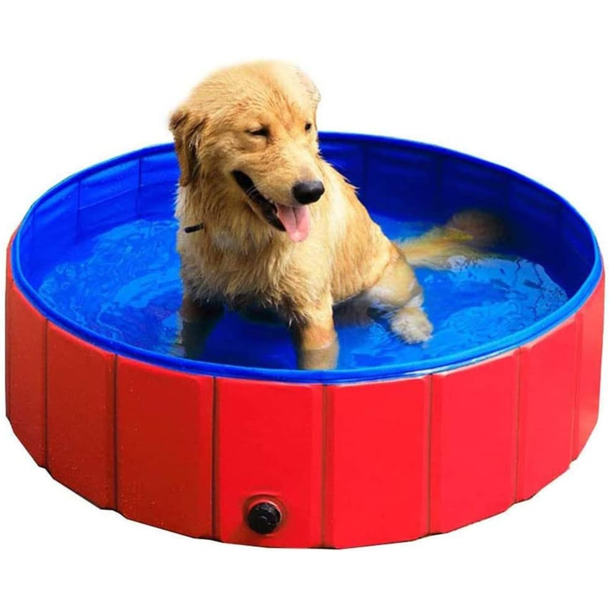 Piscina Plegable Para Mascota 🐕🐾☀️