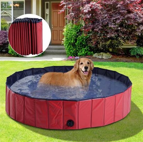 Piscina Plegable Para Mascota 🐕🐾☀️